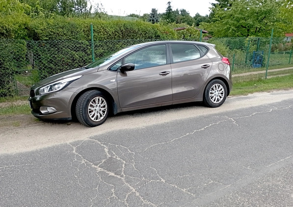 Kia Ceed cena 42000 przebieg: 120000, rok produkcji 2013 z Bydgoszcz małe 562